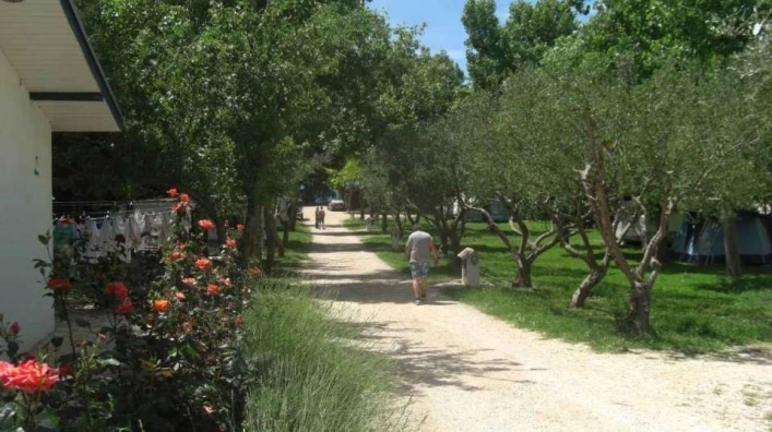 zobacz camping - zdjęcie 18