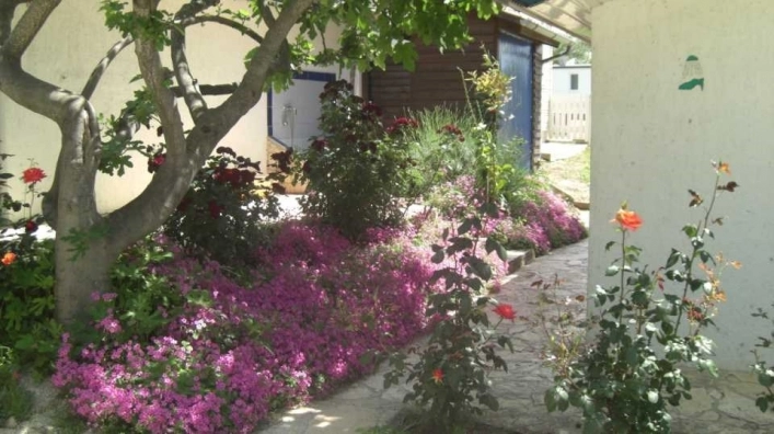 zobacz camping - zdjęcie 16