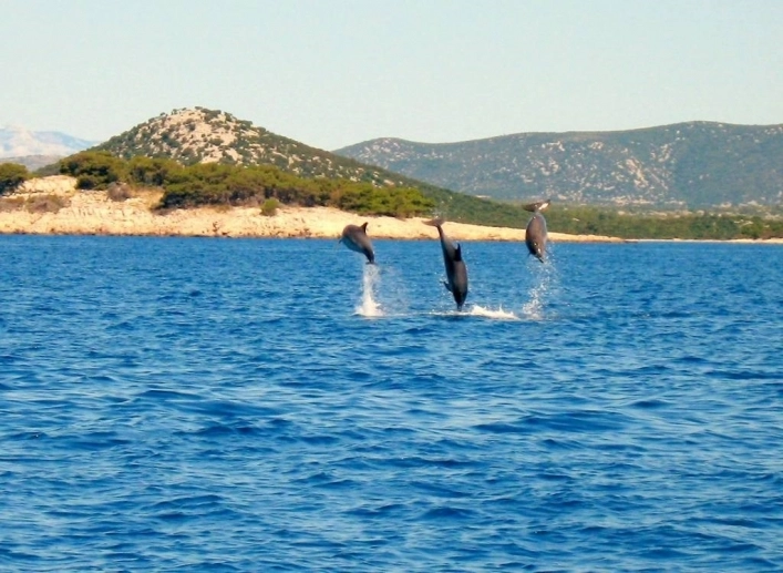 Autocamp Nordsee - zdjęcie 2