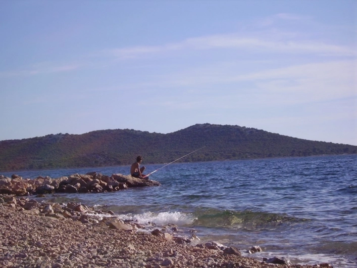 zobacz camping - zdjęcie 10