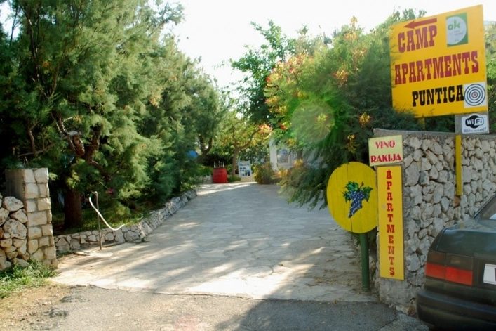 zobacz camping - zdjęcie 18