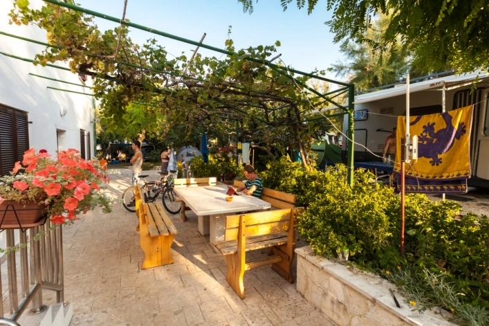zobacz camping - zdjęcie 11