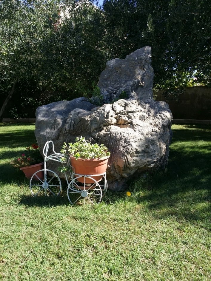 zobacz camping - zdjęcie 5