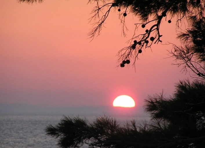 zobacz camping - zdjęcie 32