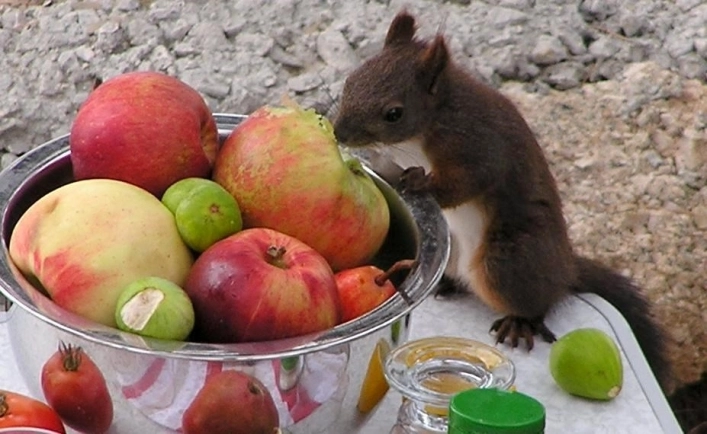 zobacz camping - zdjęcie 14