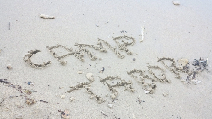 Autocamp Tabor - zdjęcie 3