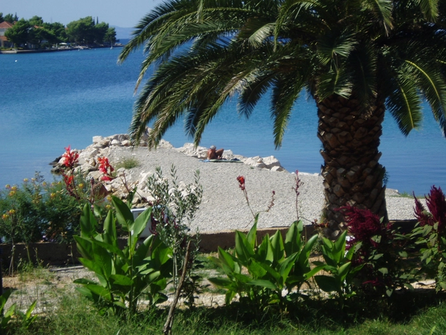 zobacz camping - zdjęcie 16