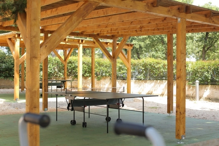 zobacz camping - zdjęcie 6