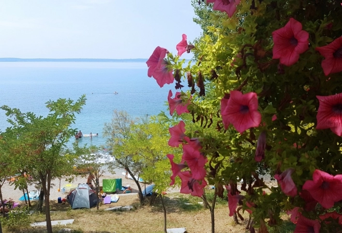 zobacz camping - zdjęcie 9