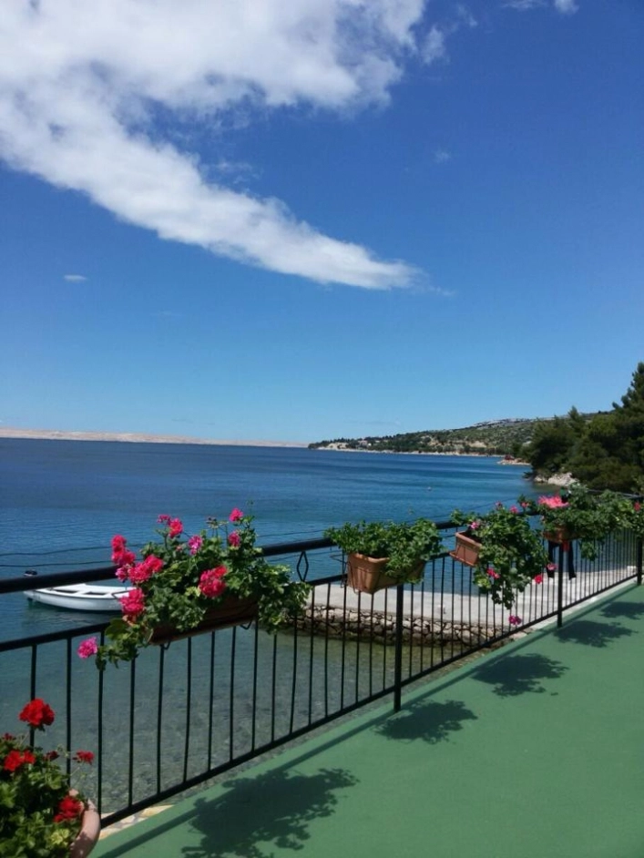 zobacz camping - zdjęcie 13