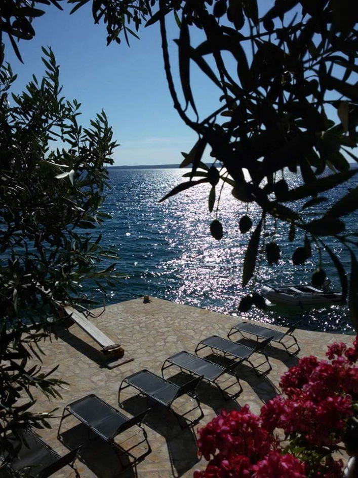 zobacz camping - zdjęcie 6