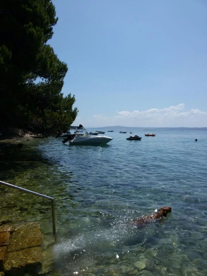 zobacz camping - zdjęcie 3