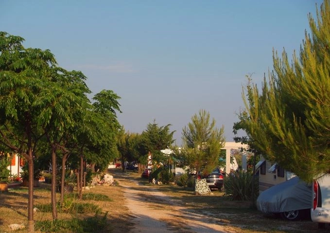 Camp Bakija - zdjęcie 1