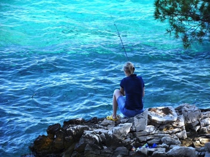 zobacz camping - zdjęcie 21