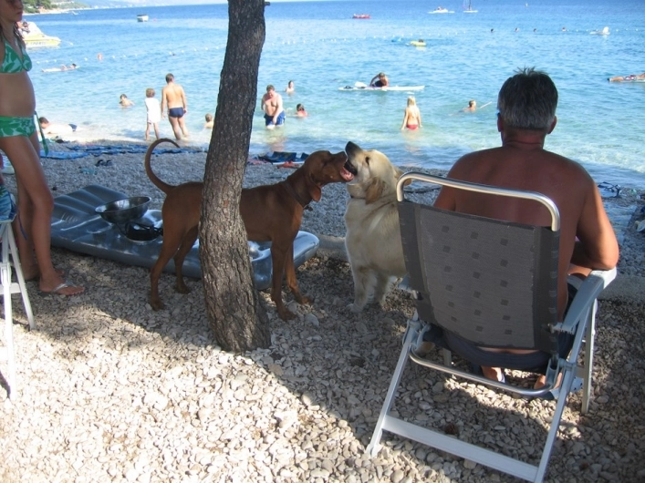 zobacz camping - zdjęcie 45