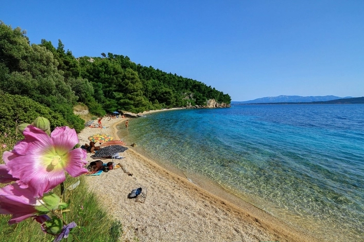 zobacz camping - zdjęcie 43