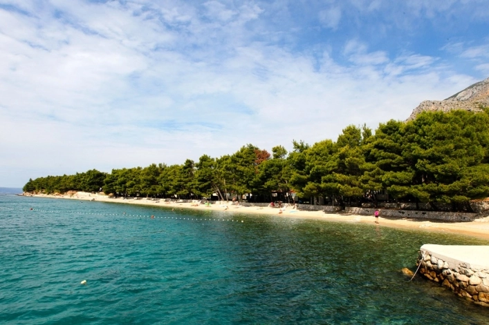 zobacz camping - zdjęcie 20