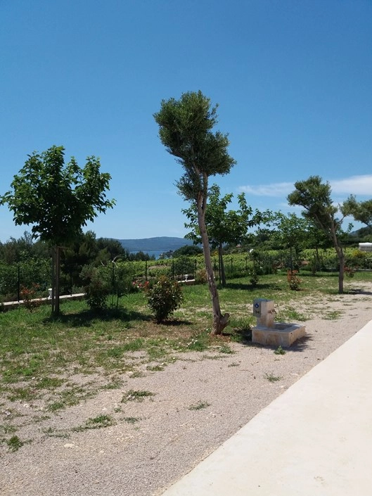 zobacz camping - zdjęcie 28