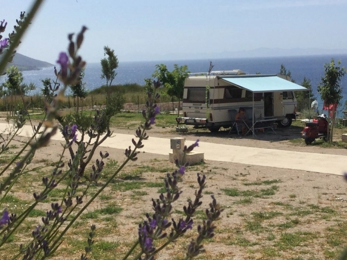 zobacz camping - zdjęcie 26