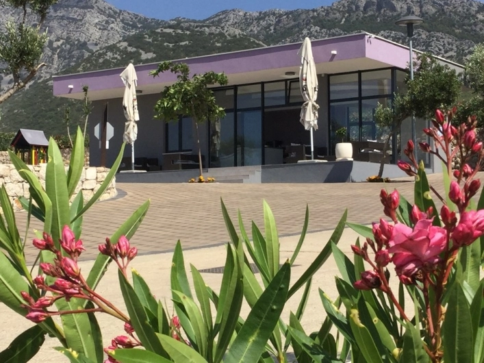 zobacz camping - zdjęcie 24