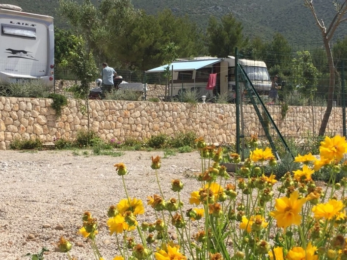 zobacz camping - zdjęcie 23