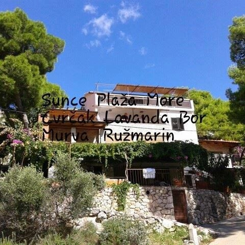 zobacz camping - zdjęcie 31