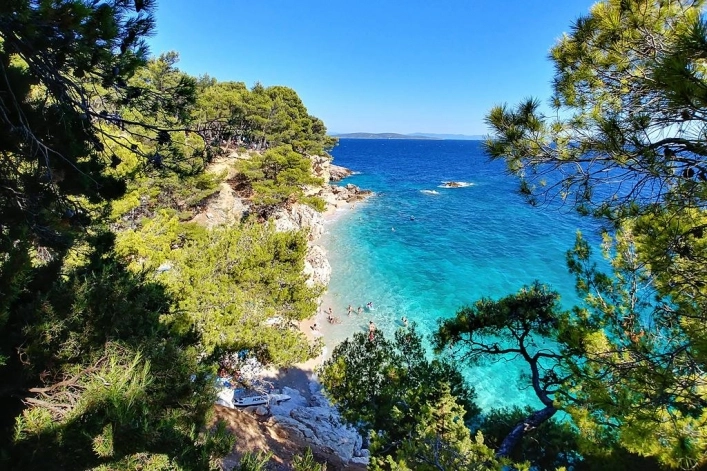 Camp Lili - zdjęcie 4