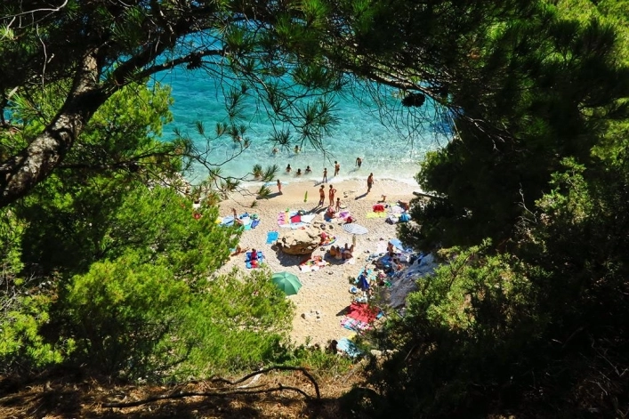 zobacz camping - zdjęcie 1