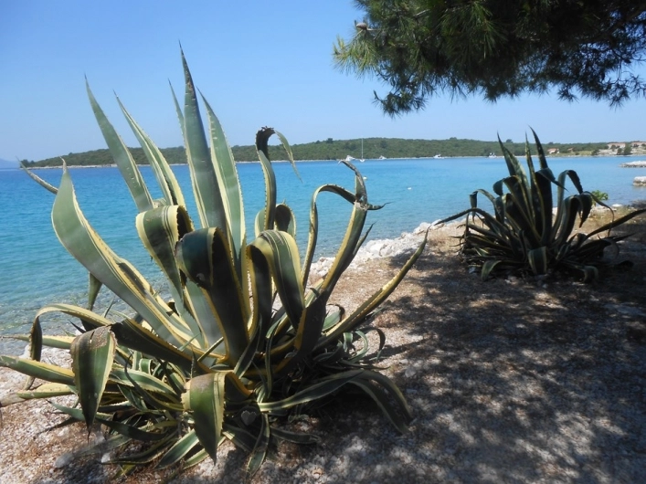 zobacz camping - zdjęcie 52