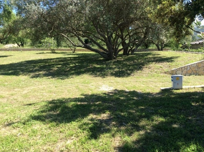 zobacz camping - zdjęcie 41