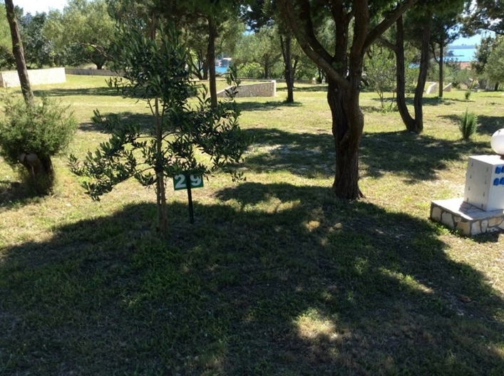 zobacz camping - zdjęcie 40