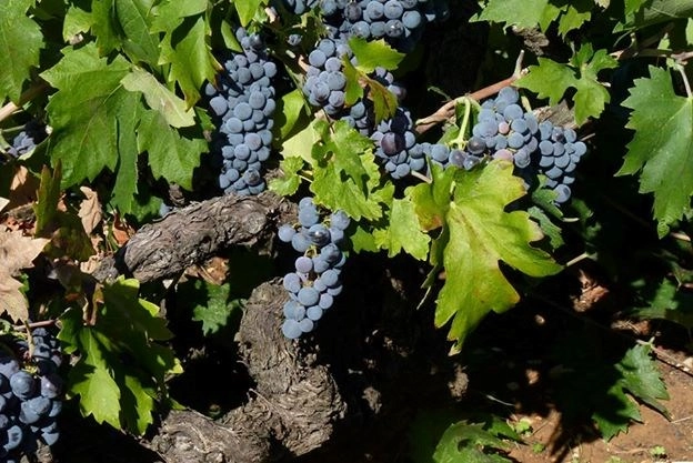 zobacz camping - zdjęcie 20