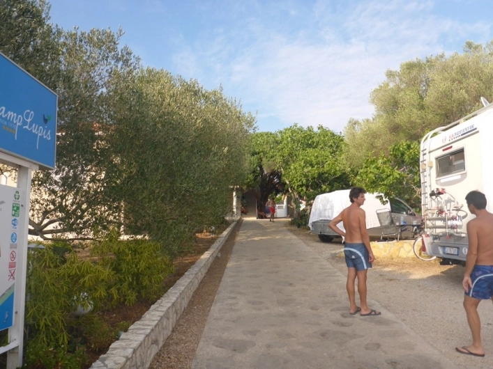 zobacz camping - zdjęcie 7