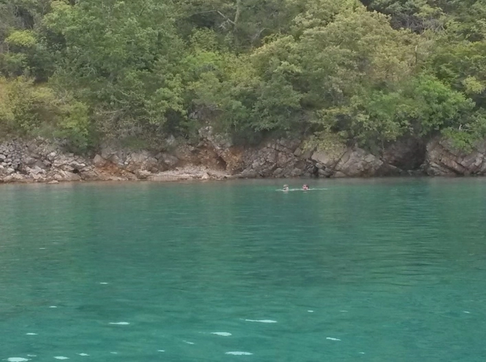 zobacz camping - zdjęcie 12