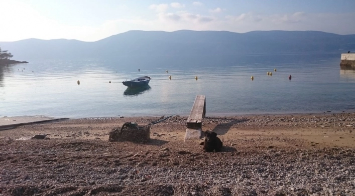 zobacz camping - zdjęcie 9