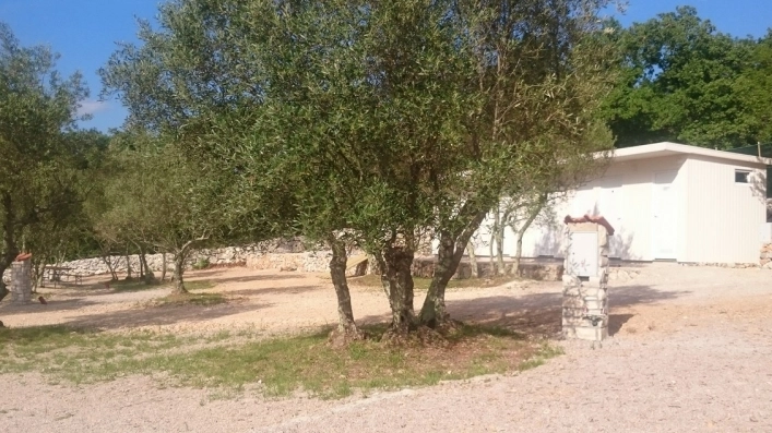 Camp Mali Raj - zdjęcie 3