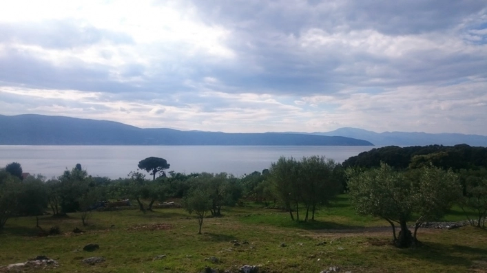 Camp Mali Raj - zdjęcie 2