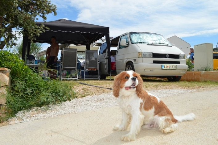 zobacz camping - zdjęcie 7