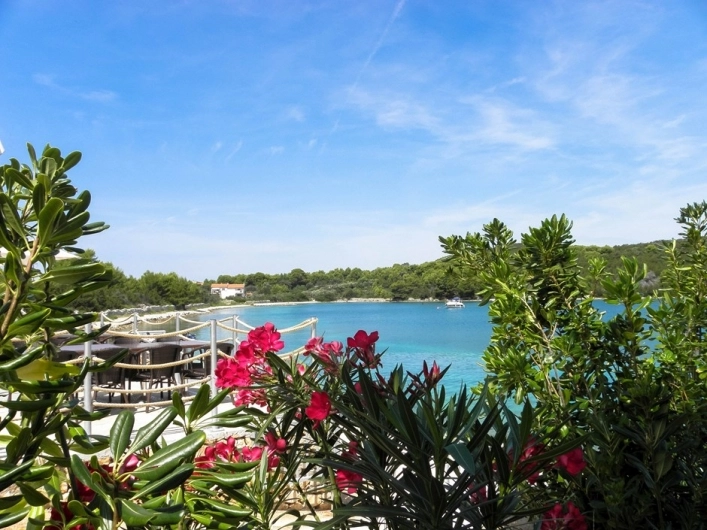 zobacz camping - zdjęcie 3