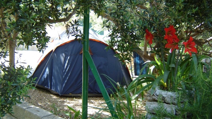 zobacz camping - zdjęcie 17