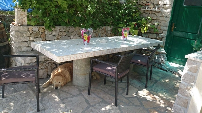 Camp Mario - zdjęcie 4