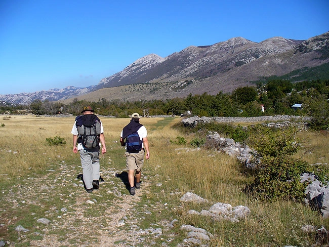zobacz camping - zdjęcie 20
