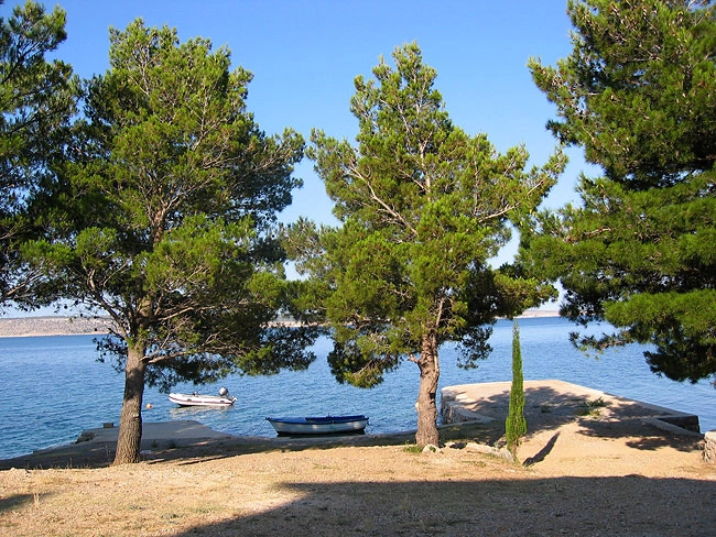 zobacz camping - zdjęcie 18