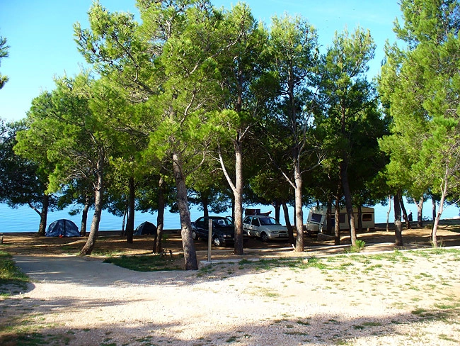 zobacz camping - zdjęcie 14