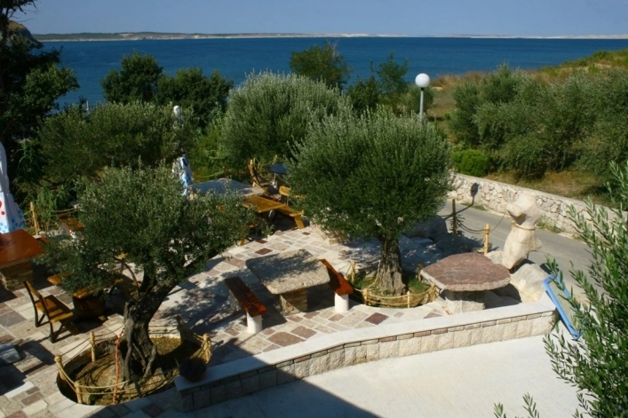 zobacz camping - zdjęcie 23