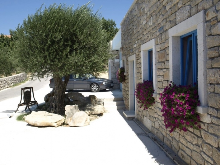 zobacz camping - zdjęcie 19