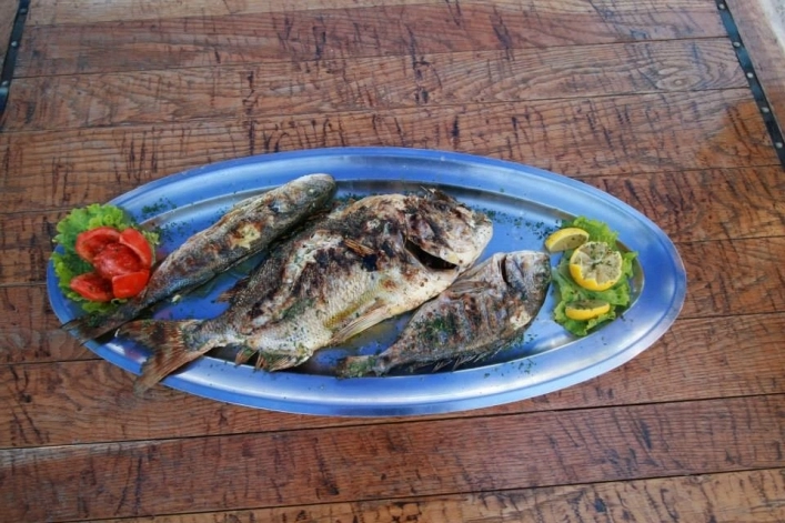 zobacz camping - zdjęcie 16