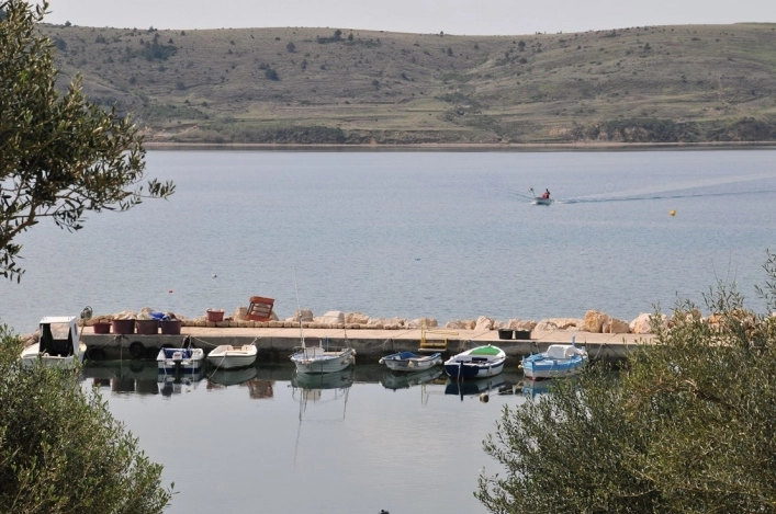 zobacz camping - zdjęcie 15