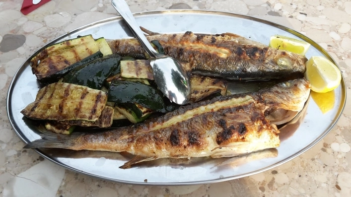 Camp Miočić - zdjęcie 4