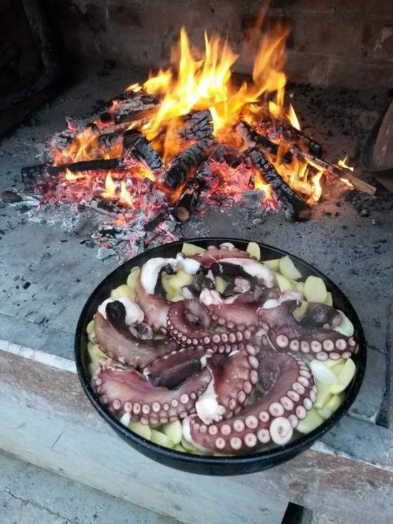 Camp Miočić - zdjęcie 2